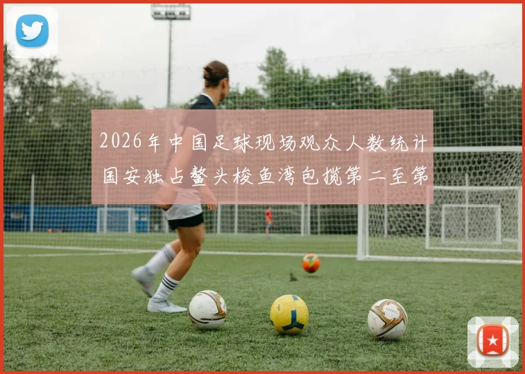 2026年中国足球现场观众人数统计国安独占鳌头梭鱼湾包揽第二至第七位